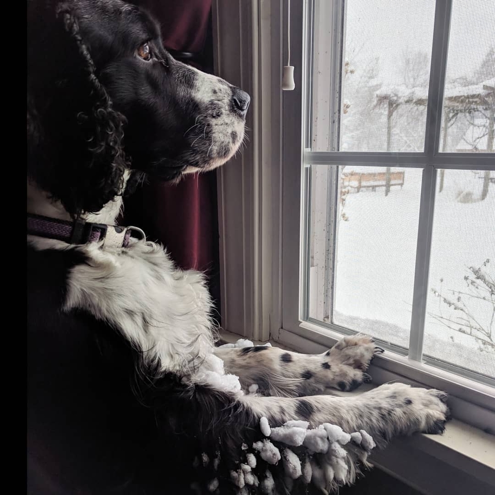 Meet your Posher, Sharon